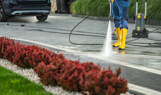 Best Roof Pressure Washing  in Bear Creek, FL